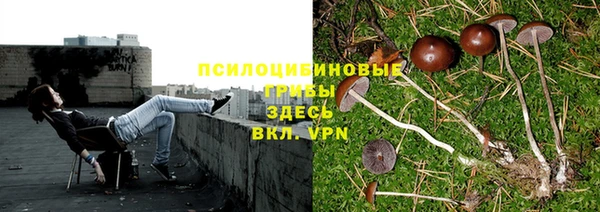COCAINE Арсеньев