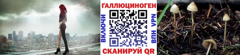Галлюциногенные грибы Magic Shrooms  закладка  Жуковка 